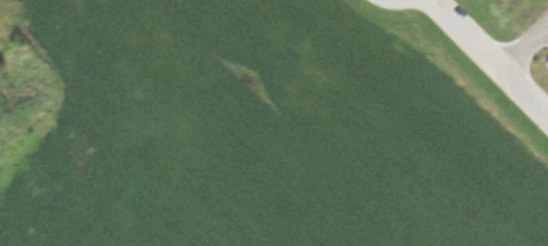 Hampshire, IL 60140