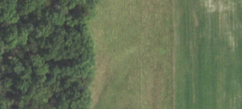 4173 State Hwy 14