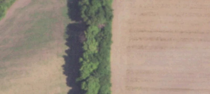 Niota, IL 62358