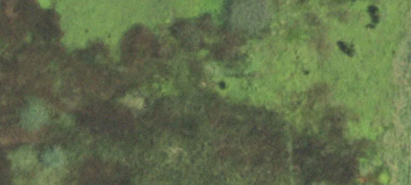 Taylorville, IL 62568