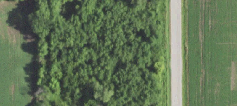 Taylorville Rd