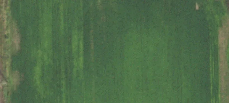 1111 Mckinley Rd