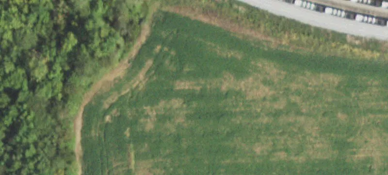 Macedonia, IL 62860