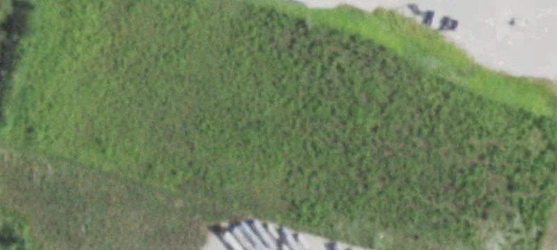 Kankakee, IL 60901