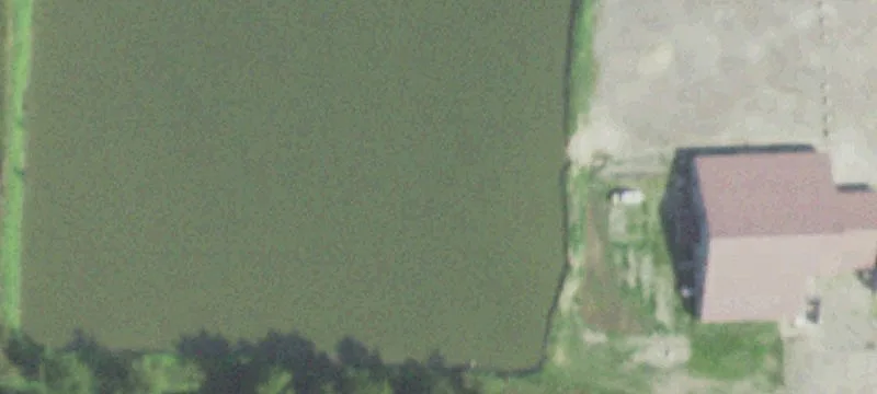 Mc Clure, IL 62957