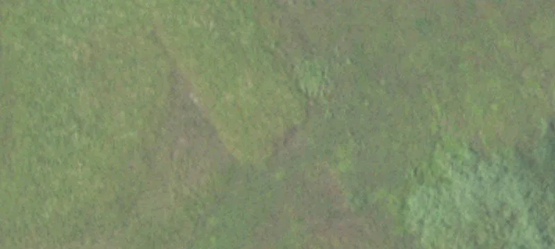 Cuba, IL 61427