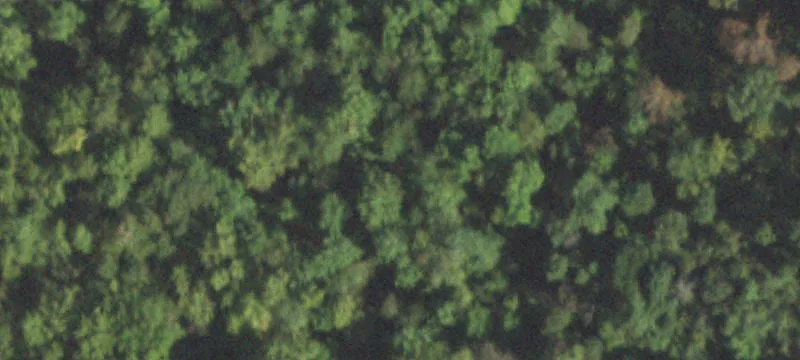 Thompsonville, IL 62890