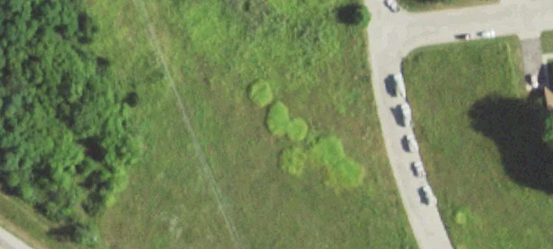 Dixon, IL 61021