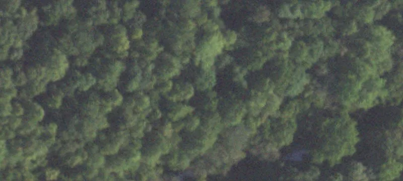 10667 Lk Of Egypt Rd