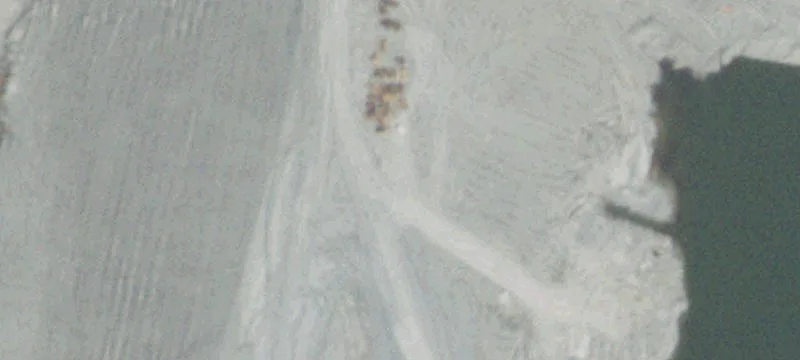 Macedonia, IL 62860