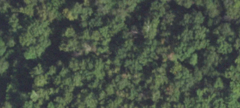 Thompsonville, IL 62890