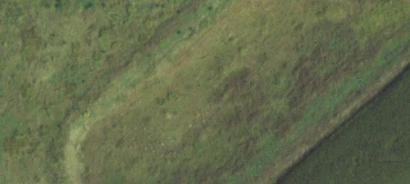 Manteno, IL 60950