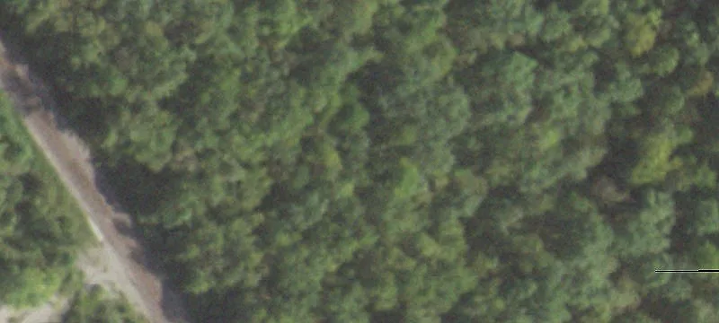 Goreville, IL 62939