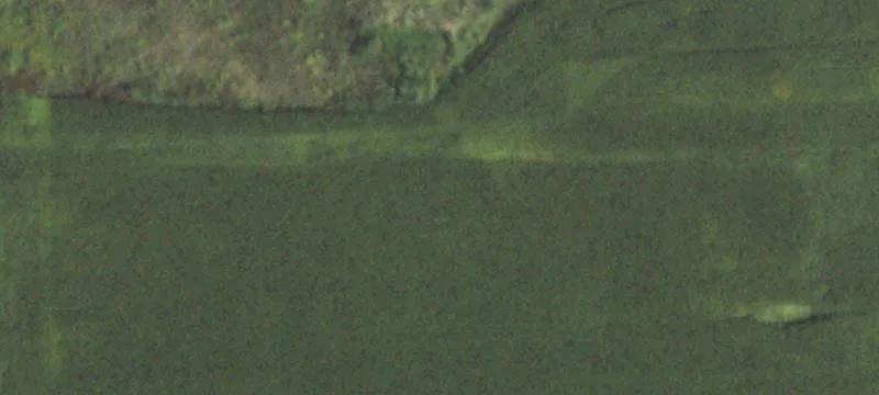 Manteno, IL 60950
