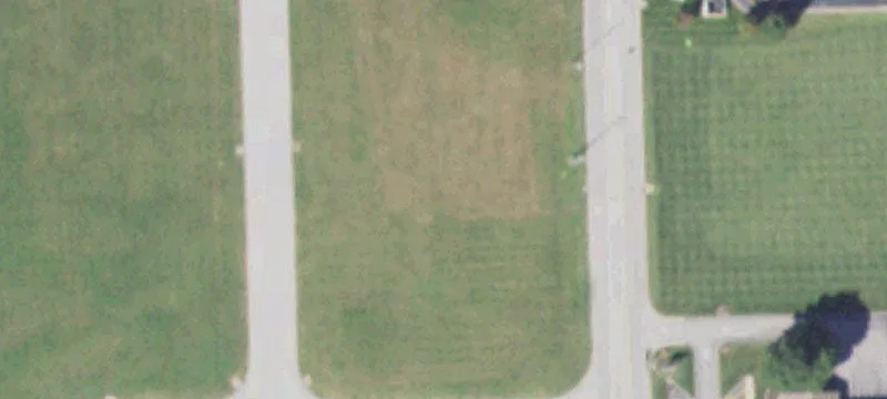 Wesley Dr