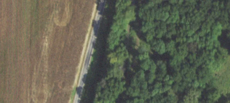 New Haven, IL 62867