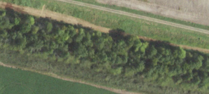 Benton, IL 62812