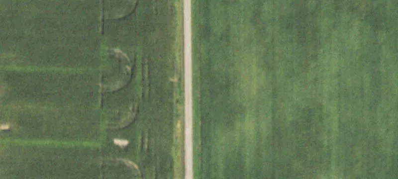 Cisne, IL 62823