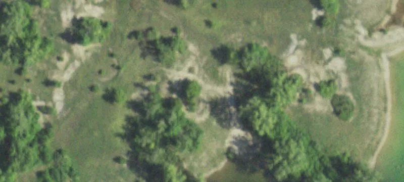 Palestine, IL 62451