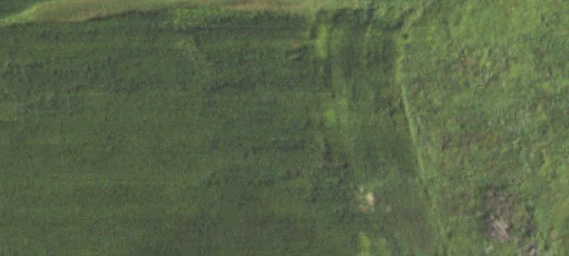 Manteno, IL 60950