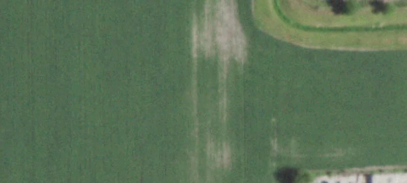 Kankakee, IL 60901