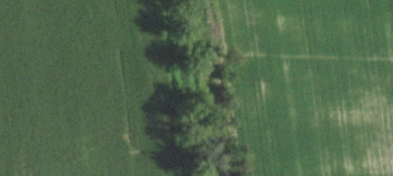 Marshall, IL 62441