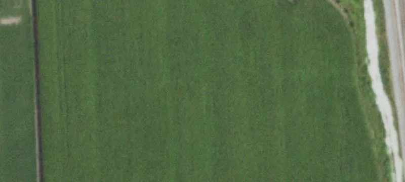 Wellington, IL 60973