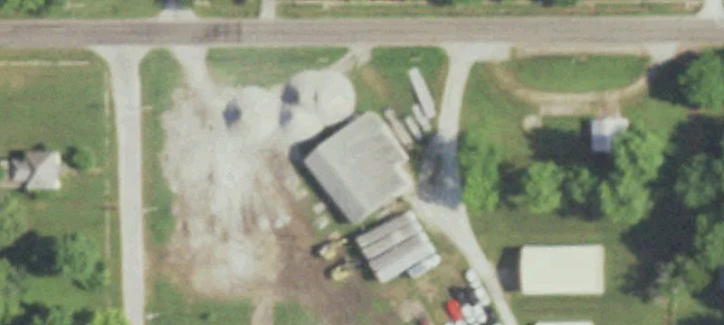 Sycamore