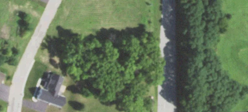 Williamson Pkwy