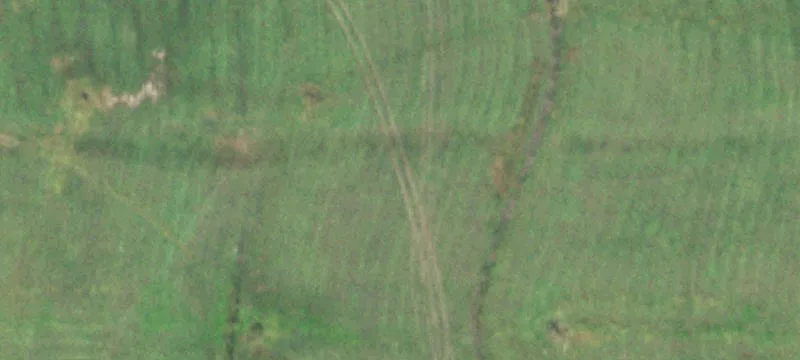Taylorville, IL 62568