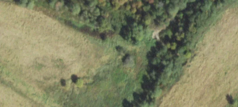 Junction, IL 62954