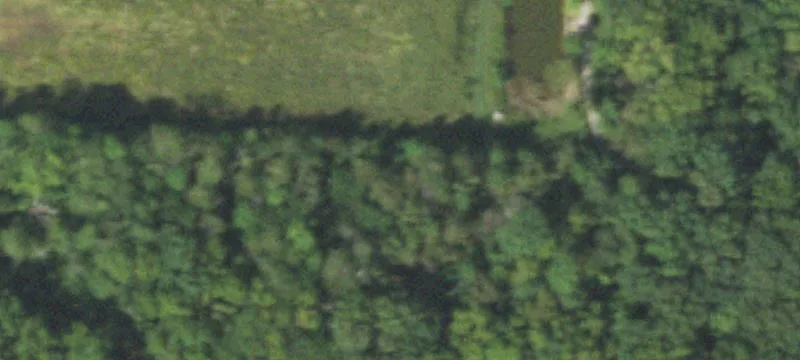 26628 State Hwy 133