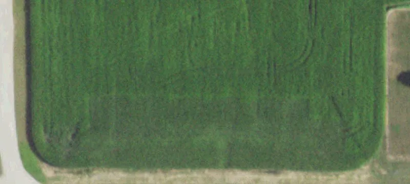 Princeton, IL 61356