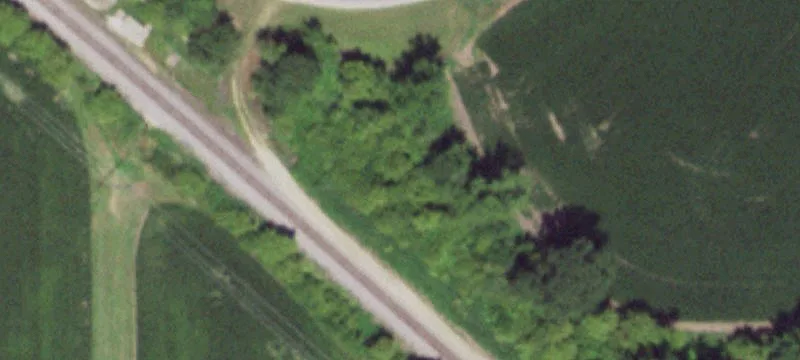 Lutz Rd