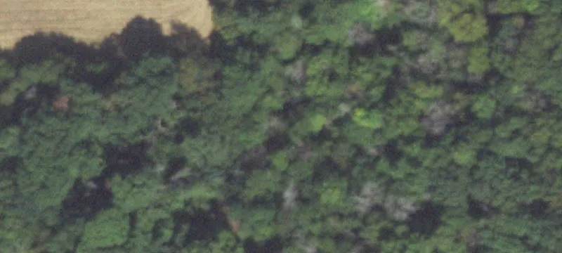 Farmer City, IL 61842