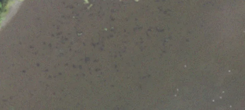 Farmer City, IL 61842