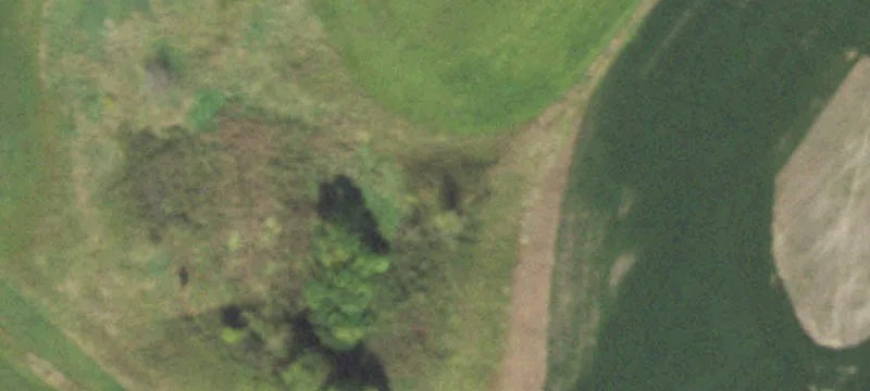 Beecher City, IL 62414