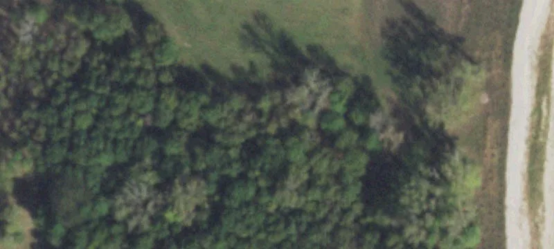 Lawrenceville, IL 62439