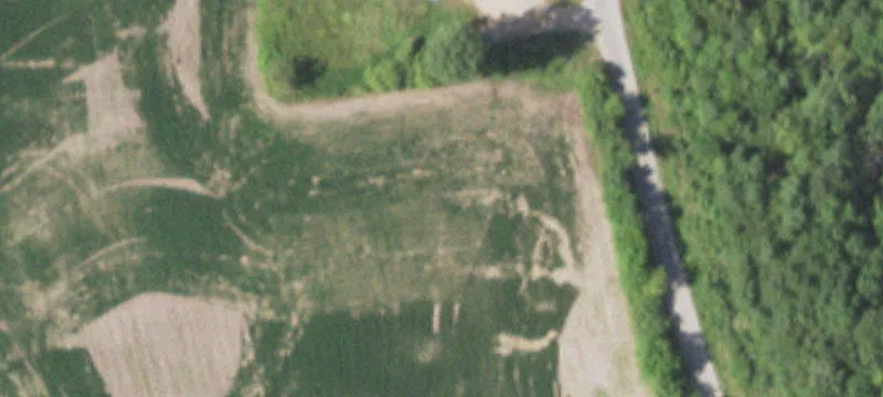 8350 Whitton Rd