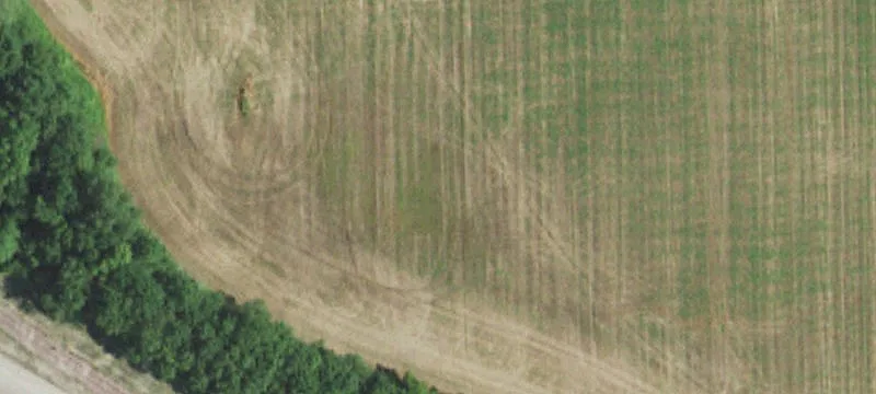 Baldwin, IL 62217