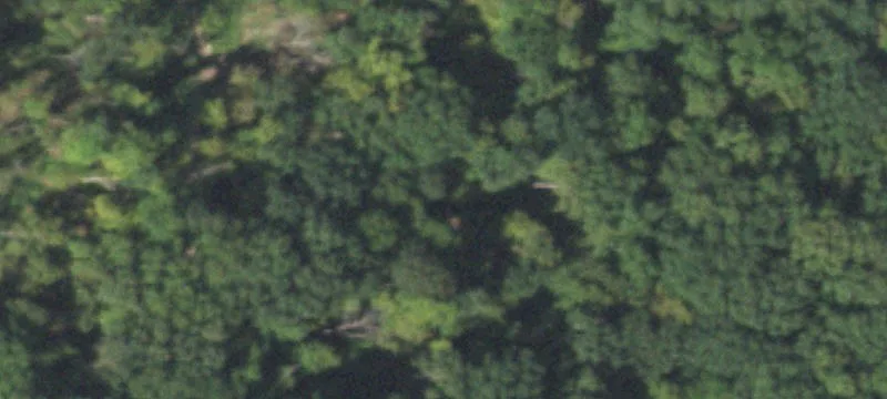County Rd 2150e