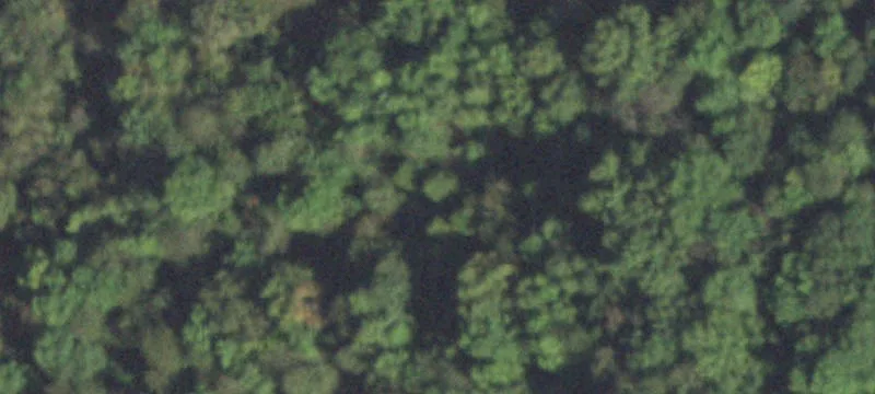 Thompsonville, IL 62890