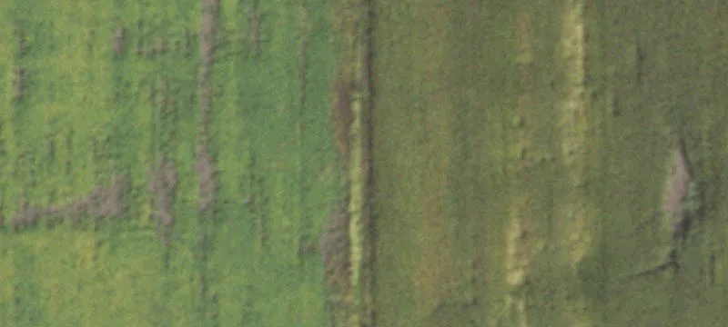 Clayton, IL 62324