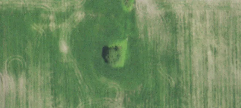 Sumner, IL 62466