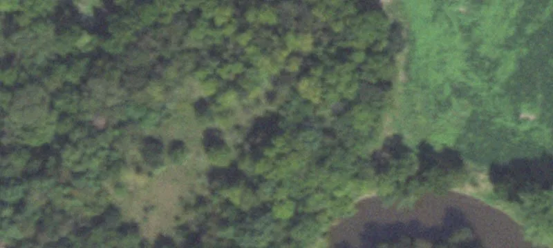 Dewitt, IL 61735