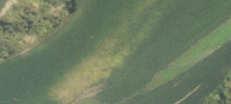Lerna, IL 62440