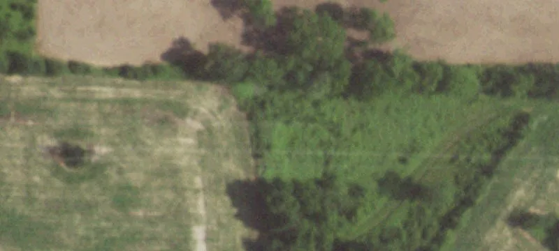 Niota, IL 62358