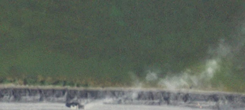 Galatia, IL 62935