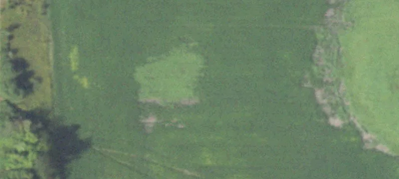 Charleston, IL 61920