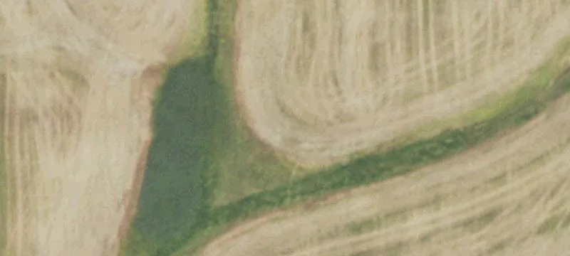 Pinckneyville, IL 62274